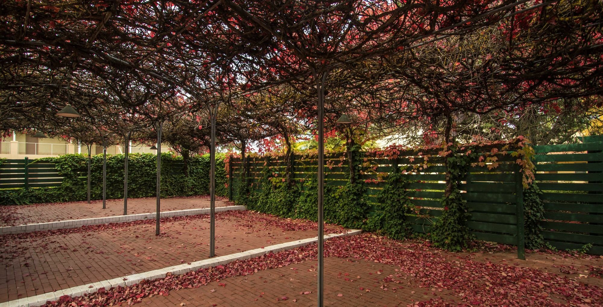 Barossa Weintal Hotel Tanunda Buitenkant foto